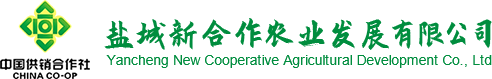 江苏凯嘉橡胶科技股份有限公司